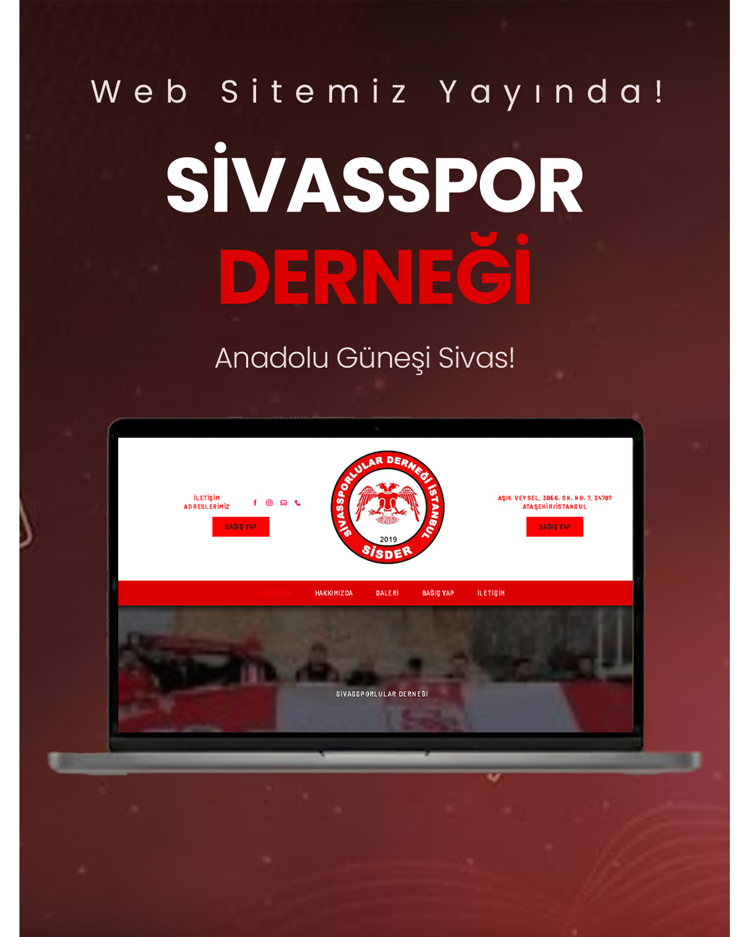 özel web tasarım hizmeti
